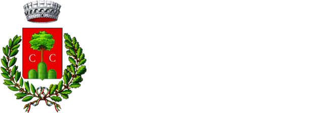 logo-Cavaion_Veronese_bianco