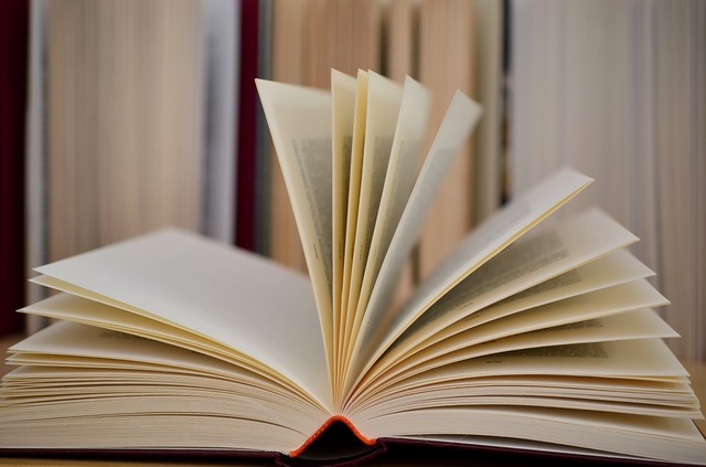 PRESENTAZIONE DEL LIBRO "L'AMORE CHE NON E'" di Gianpaolo Trevisi